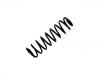 Coil Spring:1H9 511 115 F