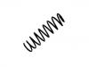 Coil Spring:1H9 511 115 C