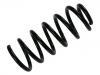 Coil Spring:4B0 511 115 CP