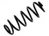 Coil Spring:8D0 411 105 DM