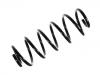 Coil Spring:8D0 411 105 AP