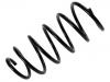 Coil Spring:30639016