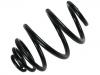 Coil Spring:9196207