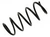 Coil Spring:9200979