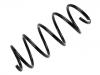 Coil Spring:9196025