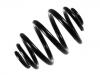 Coil Spring:33 53 9 068 958