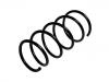 Coil Spring:31 33 1 092 656