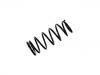 Coil Spring:41311-80G10