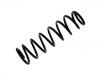 Coil Spring:41111-80G10