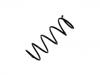 Coil Spring:41111-86G50