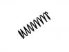 Coil Spring:95AB 5560 CC