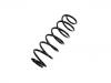 Coil Spring:1523225