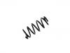 Coil Spring:52441-S5A-A81