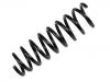 Coil Spring:55350-1H000