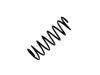 Coil Spring:55330-22000