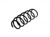 Coil Spring:51812164