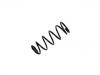 Coil Spring:55020-5M800