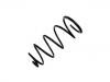 Coil Spring:54010-4M403