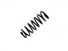 Coil Spring:4A5 511 115 AA