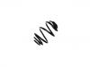 Coil Spring:96099946