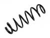 Muelle de chasis Coil Spring:48131-B1060-000