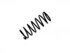 Ressort hélicoidal Coil Spring:48231-97201-000