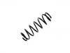 Fahrwerksfeder Coil Spring:48131-87747-000