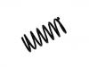 Coil Spring:48231-87279-000