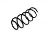 Coil Spring:46764236