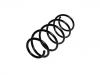 Coil Spring:50703897