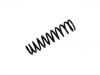 Coil Spring:51401-S74-E00