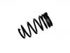 Coil Spring:55100-4A000