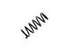 Coil Spring:52441-S6F-E02