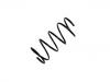 Coil Spring:51401-S6F-E01