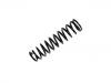 Coil Spring:51401-SM5-G13