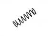 Coil Spring:55350-39600