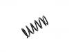 Coil Spring:55100-M2100