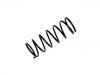 Fahrwerksfeder Coil Spring:2120-2902712