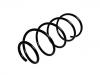 Coil Spring:46461497