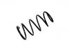 Coil Spring:46443947