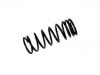 Fahrwerksfeder Coil Spring:NRC8044