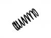 Coil Spring:RKB101240