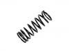 Fahrwerksfeder Coil Spring:RKB101230