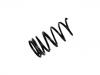 Fahrwerksfeder Coil Spring:RKB500100