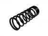 Coil Spring:RKB101100