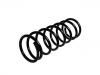 Coil Spring:REB101341