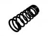 Coil Spring:RKB101101