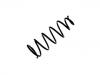 Coil Spring:48231-50100