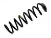 Coil Spring:211 321 05 04