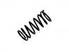 Coil Spring:463 324 00 04